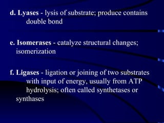 d. Lyases - lysis of substrate; produce contains
     double bond

e. Isomerases - catalyze structural changes;
   isomerization

f. Ligases - ligation or joining of two substrates
      with input of energy, usually from ATP
      hydrolysis; often called synthetases or
   synthases
 