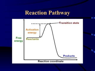 Reaction Pathway
 