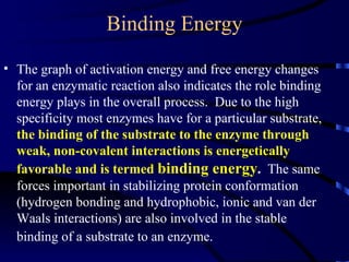 Binding Energy
• The graph of activation energy and free energy changes
  for an enzymatic reaction also indicates the role binding
  energy plays in the overall process. Due to the high
  specificity most enzymes have for a particular substrate,
  the binding of the substrate to the enzyme through
  weak, non-covalent interactions is energetically
  favorable and is termed binding energy. The same
  forces important in stabilizing protein conformation
  (hydrogen bonding and hydrophobic, ionic and van der
  Waals interactions) are also involved in the stable
  binding of a substrate to an enzyme.
 