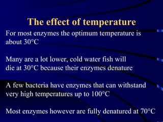 The effect of temperature
For most enzymes the optimum temperature is
about 30°C

Many are a lot lower, cold water fish will
die at 30°C because their enzymes denature

A few bacteria have enzymes that can withstand
very high temperatures up to 100°C

Most enzymes however are fully denatured at 70°C
 