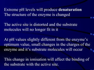 Extreme pH levels will produce denaturation
The structure of the enzyme is changed

The active site is distorted and the substrate
molecules will no longer fit in it

At pH values slightly different from the enzyme’s
optimum value, small changes in the charges of the
enzyme and it’s substrate molecules will occur

This change in ionisation will affect the binding of
the substrate with the active site.
 