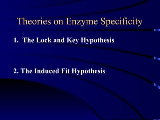Theories on Enzyme Specificity
1. The Lock and Key Hypothesis



2. The Induced Fit Hypothesis
 
