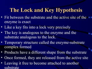 The Lock and Key Hypothesis
• Fit between the substrate and the active site of the
  enzyme is exact
• Like a key fits into a lock very precisely
• The key is analogous to the enzyme and the
  substrate analogous to the lock.
• Temporary structure called the enzyme-substrate
  complex formed
• Products have a different shape from the substrate
• Once formed, they are released from the active site
• Leaving it free to become attached to another
  substrate
 