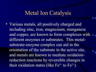 Metal Ion Catalysis
• Various metals, all positively charged and
  including zinc, iron, magnesium, manganese
  and copper, are known to form complexes with
  different enzymes or substrates. This metal-
  substrate-enzyme complex can aid in the
  orientation of the substrate in the active site,
  and metals are known to mediate oxidation-
  reduction reactions by reversible changes in
  their oxidation states (like Fe3+ to Fe2+).
 