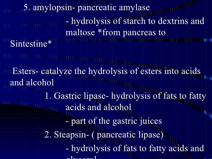an analysis of the enzyme amylase which catalyze the hydrolysis of starch to maltose Digestive physiology: amylase hydrolysis of starch introduction enzymes are proteins composed of amino acid building blocks enzymes catalyze or increase the rate of metabolic reactions the amylase begins cleaving the starch molecule into maltose subunits. an analysis of the enzyme amylase which catalyze the hydrolysis of starch to maltose Digestive physiology: amylase hydrolysis of starch introduction enzymes are proteins composed of amino acid building blocks enzymes catalyze or increase the rate of metabolic reactions the amylase begins cleaving the starch molecule into maltose subunits.