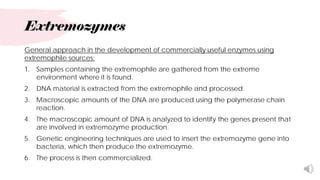Extremozymes Examples Chapter_4__Enzymes_and_Vitamins__Enzymes_part_2_.pdf.pdf