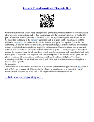 Genetic Transformation Of Genetic Dna
Genetic transformation occurs when an organism's genetic makeup is altered due to the introduction
of new genetic information which is then incorporated into the organism's genome. In this lab the
pGLO plasmid is introduced into E. Coli bacteria, and incorporates the genes which code for the
GFP and beta lactamase to the bacteria's genome which as a result will be modified. To test the
effects of the plasmid, bacteria treated with the plasmid were grown on separate plates, the first
containing LB nutrient broth and ampicillin, another containing LB nutrient broth and arabinose and
another containing LB nutrient broth, ampicillin and arabinose. Two more plates were grown, one
with LB nutrient broth and ampicillin and the other with only the LB broth, using cells that did not
contain the plasmid. Since the lab was about genetic transformation, the goal was to find which plate
would glow. It was found that the plates that were not exposed to the plasmid did not glow, and the
plates containing LB and arabinose and LB, ampicillin and arabinose did glow. The plates
containing ampicillin, the antibiotic that kills E. coli did not grow whereas the remaining plates at
least had some growth.
Introduction
Transformation is the directed modification of a genome by the external application of DNA from a
cell of different genotype (Griffiths and Miller).Bacterial transformation is the easiest type of
transformation to create and study due to the single cellularity of bacteria and its
... Get more on HelpWriting.net ...
 