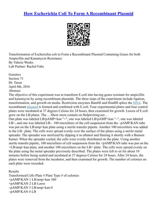 How Escherichia Coli To Form A Recombinant Plasmid
Transformation of Escherichia coli to Form a Recombinant Plasmid Containing Genes for both
Ampicillin and Kanamycin Resistance
By Valerie Weeks
Lab Partner: Rachel Fahs
Genetics
Section 71
Dr. Tarun
April 8th, 2016
Abstract
The objective of this experiment was to transform E.coli into having genes resistant for ampicillin
and kanamycin by using recombinant plasmids. The three steps of the experiment include ligation,
transformation, and growth on media. Restriction enzymes BamHI and HindIII splice the DNA. The
recombinant plasmid is formed and combined with E.coli. Four experimental plates and four control
plates were incubated at 37 degrees Celsius for 24 hours, then examined for growth. Lawns of E.coli
grew on the LB plates. The ... Show more content on Helpwriting.net ...
One plate was labeled LB/pAMP+kan "+", one was labeled LB/pAMP+kan "–", one was labeled
LB+, and one was labeled LB–. 100 microliters of the cell suspension from the –pAMP/KAN tube
was put on the LB/amp+kan plate using a sterile transfer pipette. Another 100 microliters was added
to the LB– plate. The cells were spread evenly over the surface of the plates using a sterile metal
spreader. The spreader was sterilized by dipping it in ethanol and flaming it shortly with a Bunsen
burner. When the spreader cooled, the cells were evenly distributed on the plate. Using another
sterile transfer pipette, 100 microliters of cell suspension from the +pAMP/KAN tube was put on the
+LB/amp+kan plate, and another 100 microliters on the LB+ plate. The cells were spread evenly on
the plate using the metal spreader previously described. The plates were left to sit for about 10
minutes before being sealed and incubated at 37 degrees Celsius for 24 hours. After 24 hours, the
plates were removed from the incubator, and then examined for growth. The number of colonies on
each plate were recorded.
Results
Transformed Cells Plate # Plate Type # of colonies
+pAMP/KAN 1 LB/amp+kan 360
+pAMP/KAN 2 LB Lawn
–pAMP/KAN 3 LB/amp+kan 0
–pAMP/KAN 4 LB
 