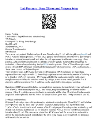 Lab Partners : Sage Gibson And Vanessa Song
Eunice Assibu
Lab Partners: Sage Gibson and Vanessa Song.
TA: Mian Li
Undergrad TA: Haley linnet burdge
Bio 118–A60
November 10, 2015
Genetic Transformation
Introduction
There were two parts of this lab and part 1 was; Transforming E. coli with the pGreen plasmid and
Part 2; PCR and Electrophoresis. For this lab, a genetic transformation procedure was performed to
introduce a plasmid to another cell and when the cell reproduces it will make a new copy of the
plasmid. And genetic transformation is a process whereby genetic materials that are carried by
individual cells are changed adding foreign DNA into its genome. Also, a"Plasmids are pieces of
double–stranded DNA that can be replicated independently of chromosomal DNA, and normally ...
Show more content on Helpwriting.net ...
There are three steps in PCR, and they are; (1) Denaturing– DNA molecules are heated and
separated into two single strands. (2) Annealing– A primer is used to start the process of building a
new strand of DNA. (3) Extension– dNTPs are added to the reaction mixture to build a new
complementary strand to the template strand. By using a primer a new strand grows in 5' to 3'
direction and the template is 3' to 5' and they can be amplified by the original template.
Hypothesis: If DNA is amplified after each cycle then increasing the number of cycles will result in
a lot of DNA. From the four plates #1,2 3 and 4 used, the plate containing the ampicillin and
plasmid (#4) will result in growing the bacteria, secondly will be plate #2 which will only contain
ampicillin and no plasmid. For the rest of the plates will not grow well. 750 bp swathe in lane #2.
Methods and Materials:
Obtained 2 microfuge tubes of transformation solution (containing cold 50mM CaCl2) and labelled
one "+pGreen" and the other one "–pGreen". 10μl of pGreen plasmid was pipetted into the
"+pGreen" tube, transferred a small amount of the E. coli prepared by using an inoculation loop and
stirred each tube and put them on ice for about 15 minutes. Next, a process called transformation
introduced the E. coli. The tubes were placed in a 42 °C water bath for about 50 seconds which
allows the bacteria to expand. Immediately, the tubes were placed in ice water bath for 2 minutes
which made the bacteria to
 