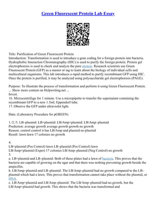 Green Fluorescent Protein Lab Essay
Title: Purification of Green Fluorescent Protein
Introduction: Transformation is used to introduce a gene coding for a foreign protein into bacteria.
Hydrophobic Interaction Chromatography (HIC) is used to purify the foreign protein. Protein gel
electrophoresis is used to check and analyze the pure protein. Research scientists use Green
Fluorescent Protein (GFP) as a master or tag to learn about the biology of individual cells and
multicultural organisms. This lab introduces a rapid method to purify recombinant GFP using HIC.
Once the protein is purified, it may be analyzed using polysaccharide gel electrophoresis (PAGE).
Purpose: To illustrate the process of transformation and perform it using Green Fluorescent Protein.
... Show more content on Helpwriting.net ...
Invert.
16. Microcentrifuge for 1 minute. Use a micropipette to transfer the supernatant containing the
recombinant GFP to a new 1.5mL Eppendorf tube.
17. Observe the GFP under ultraviolet light.
Data: (Laboratory Procedure for pGREEN)
1./2./3. LB–plasmid: LB+plasmid: LB/Amp+plasmid: LB/Amp–plasmid
Prediction: average growth average growth growth no growth
Reason: control control it has LB/Amp and plasmid no plasmid
Result: lawn lawn 17 colonies no growth
4.
LB+plasmid (Pos Control) lawn LB–plasmid (Pos Control) lawn
LB/Amp+plasmid (Exper) 17 colonies LB/Amp–plasmid (Neg Control) no growth
5.
a. LB+plasmid and LB–plasmid: Both of these plates had a lawn of bacteria. This proves that the
bacteria are capable of growing on the agar and that there was nothing preventing growth beside the
ampicillin.
b. LB/Amp–plasmid and LB–plasmid: The LB/Amp–plasmid had no growth compared to the LB–
plasmid which had a lawn. This proves that transformation cannot take place without the plasmid, or
DNA.
c. LB/Amp+plasmid and LB/Amp–plasmid: The LB/Amp–plasmid had no growth, but the
LB/Amp+plasmid had growth. This shows that the bacteria was transformed and
 