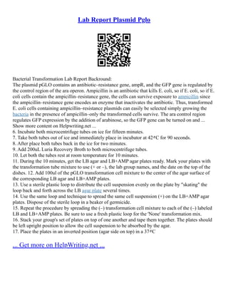 Lab Report Plasmid Pglo
Bacterial Transformation Lab Report Backround:
The plasmid pGLO contains an antibiotic–resistance gene, ampR, and the GFP gene is regulated by
the control region of the ara operon. Ampicillin is an antibiotic that kills E. coli, so if E. coli, so if E.
coli cells contain the ampicillin–resistance gene, the cells can survive exposure to ampicillin since
the ampicillin–resistance gene encodes an enzyme that inactivates the antibiotic. Thus, transformed
E. coli cells containing ampicillin–resistance plasmids can easily be selected simply growing the
bacteria in the presence of ampicillin–only the transformed cells survive. The ara control region
regulates GFP expression by the addition of arabinose, so the GFP gene can be turned on and ...
Show more content on Helpwriting.net ...
6. Incubate both microcentrifuge tubes on ice for fifteen minutes.
7. Take both tubes out of ice and immediately place in incubator at 42٥C for 90 seconds.
8. After place both tubes back in the ice for two minutes.
9. Add 200uL Luria Recovery Broth to both microcentrifuge tubes.
10. Let both the tubes rest at room temperature for 10 minutes.
11. During the 10 minutes, get the LB agar and LB+AMP agar plates ready. Mark your plates with
the transformation tube mixture to use (+ or –), the lab group names, and the date on the top of the
dishes. 12. Add 100ul of the pGLO transformation cell mixture to the center of the agar surface of
the corresponding LB agar and LB+AMP plates.
13. Use a sterile plastic loop to distribute the cell suspension evenly on the plate by "skating" the
loop back and forth across the LB agar plate several times.
14. Use the same loop and technique to spread the same cell suspension (+) on the LB+AMP agar
plates. Dispose of the sterile loop in a beaker of germicide.
15. Repeat the procedure by spreading the (–) transformation cell mixture to each of the (–) labeled
LB and LB+AMP plates. Be sure to use a fresh plastic loop for the 'None' transformation mix.
16. Stack your group's set of plates on top of one another and tape them together. The plates should
be left upright position to allow the cell suspension to be absorbed by the agar.
17. Place the plates in an inverted position (agar side on top) in a 37٥C
... Get more on HelpWriting.net ...
 