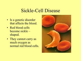 Chapter 4 genetic disorders | PPT