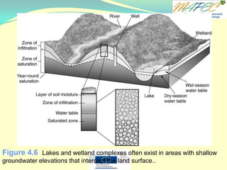 Figure 4.6 Lakes and wetland complexes often exist in areas with shallow
groundwater elevations that intercept the land surface..
 