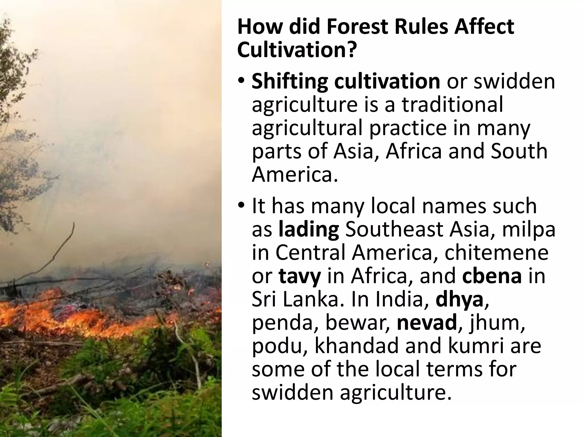 How did Forest Rules Affect
Cultivation?
• Shifting cultivation or swidden
agriculture is a traditional
agricultural practice in many
parts of Asia, Africa and South
America.
• It has many local names such
as lading Southeast Asia, milpa
in Central America, chitemene
or tavy in Africa, and cbena in
Sri Lanka. In India, dhya,
penda, bewar, nevad, jhum,
podu, khandad and kumri are
some of the local terms for
swidden agriculture.
 