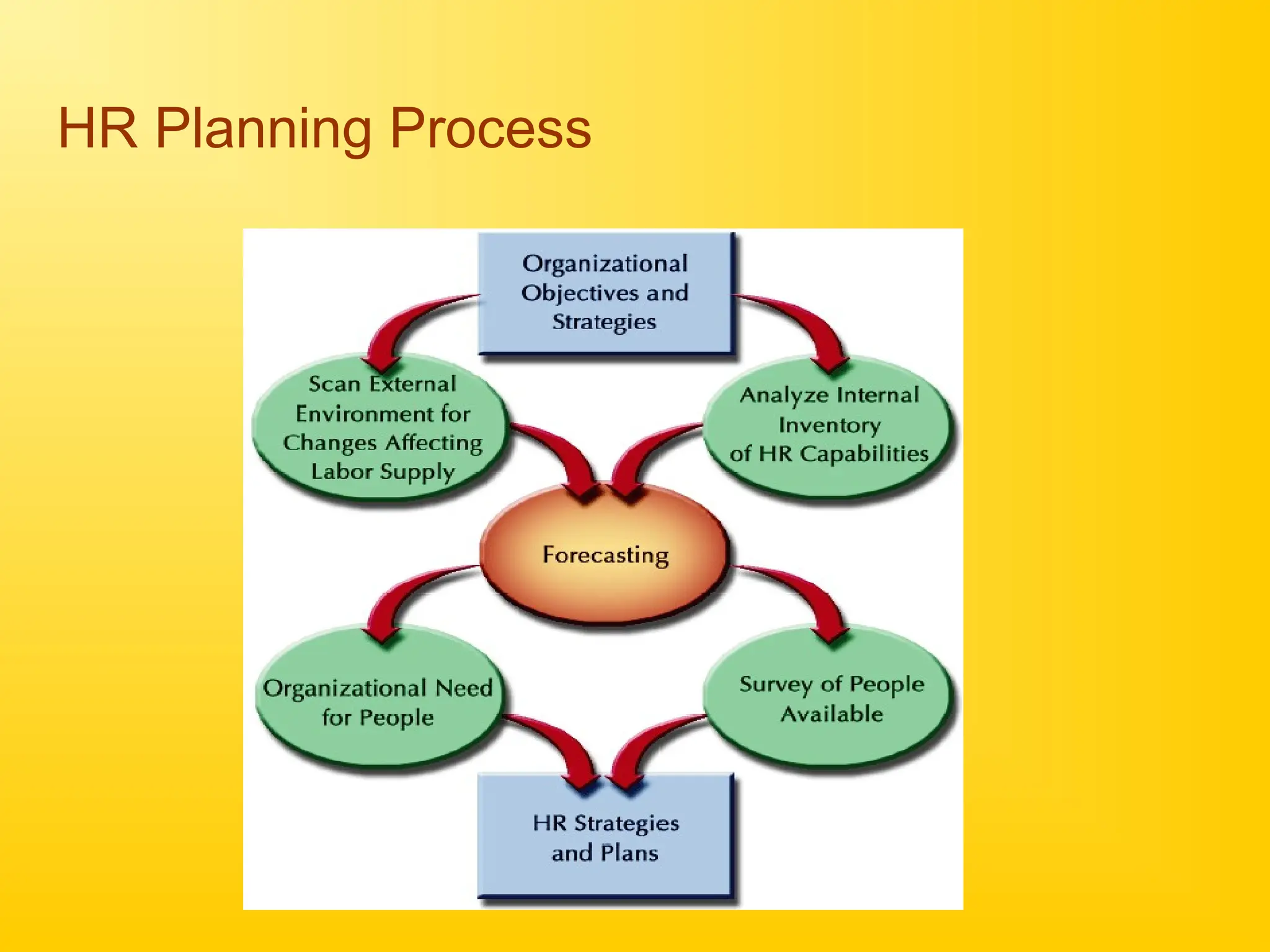 HR Planning Process
 