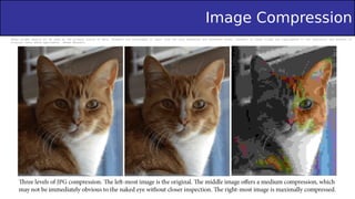 Chapter 4 Image Restoration and Compression.pdf