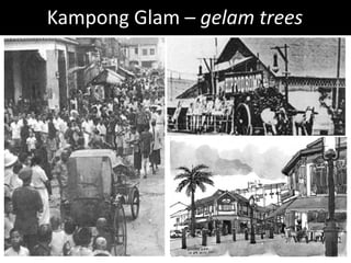 Kampong Glam – gelam trees
 