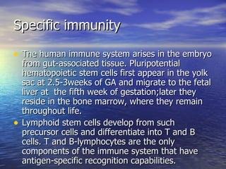 Specific immunity The human immune system arises in the embryo from gut-associated tissue. Pluripotential hematopoietic stem cells first appear in the yolk sac at 2.5-3weeks of GA and migrate to the fetal liver at  the fifth week of gestation;later they reside in the bone marrow, where they remain throughout life. Lymphoid stem cells develop from such precursor cells and differentiate into T and B cells. T and B-lymphocytes are the only components of the immune system that have antigen-specific recognition capabilities. 