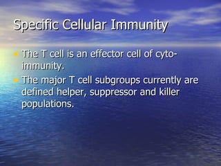 Specific Cellular Immunity The T cell is an effector cell of cyto-immunity. The major T cell subgroups currently are defined helper, suppressor and killer populations. 