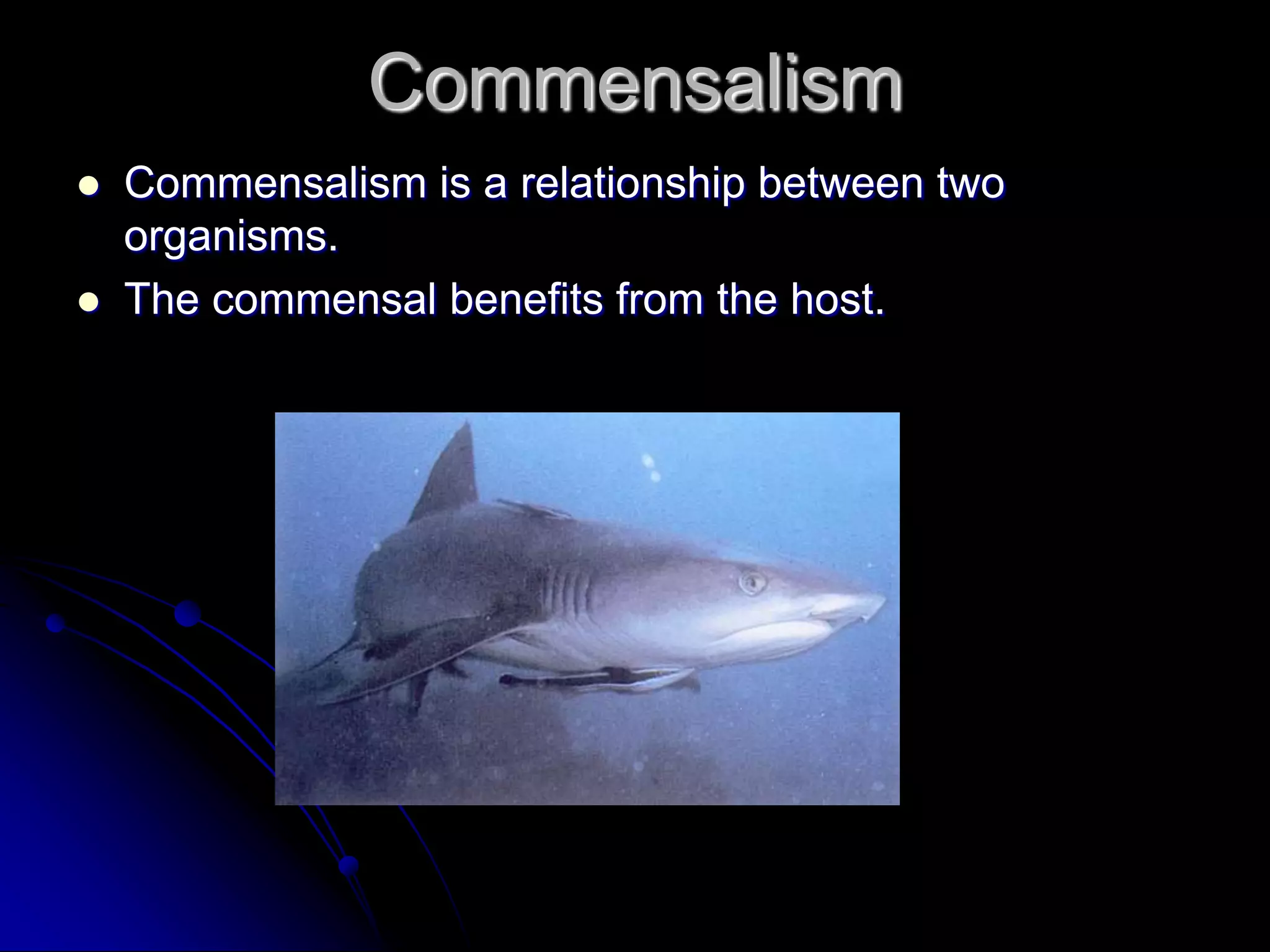 Commensalism
 Commensalism is a relationship between two
organisms.
 The commensal benefits from the host.
 