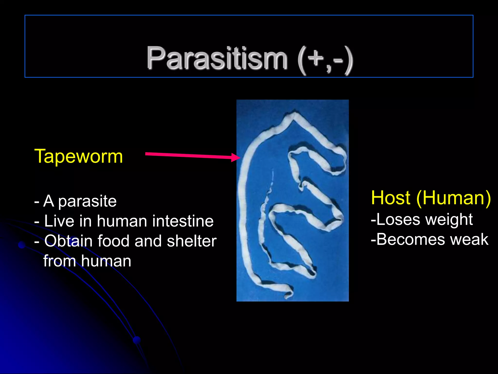 Parasitism (+,-)
Tapeworm
- A parasite
- Live in human intestine
- Obtain food and shelter
from human
Host (Human)
-Loses weight
-Becomes weak
 