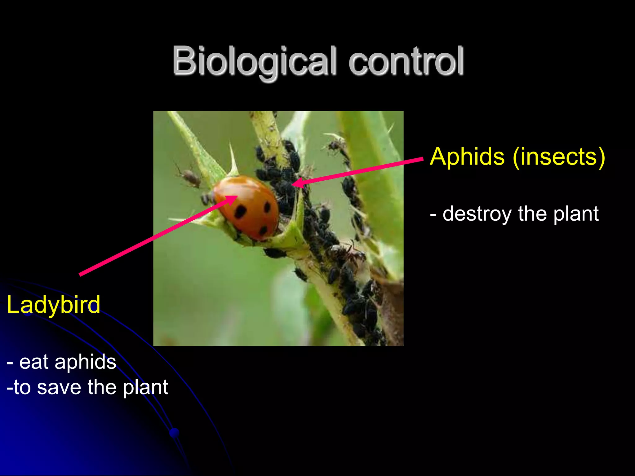 Biological control
Aphids (insects)
- destroy the plant
Ladybird
- eat aphids
-to save the plant
 