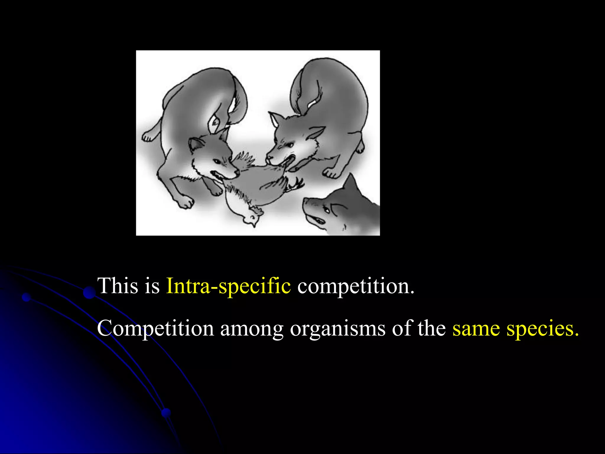 This is Intra-specific competition.
Competition among organisms of the same species.
 