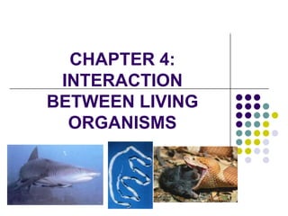 CHAPTER 4:
INTERACTION
BETWEEN LIVING
ORGANISMS
 