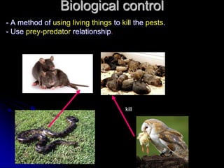 Biological control
kill
- A method of using living things to kill the pests.
- Use prey-predator relationship.
 