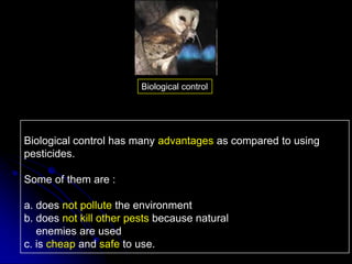 Biological control has many advantages as compared to using
pesticides.
Some of them are :
a. does not pollute the environment
b. does not kill other pests because natural
enemies are used
c. is cheap and safe to use.
Biological control
 