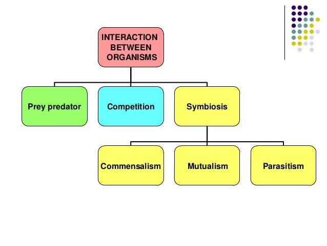 shop power system dynamics and