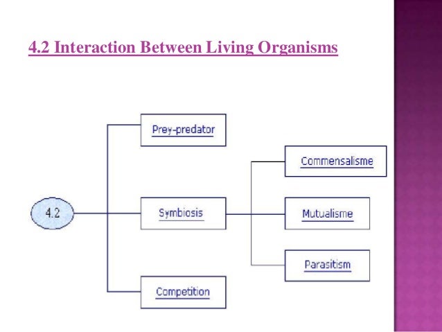 Chapter 4 interdependence among living organisms and the envirronment