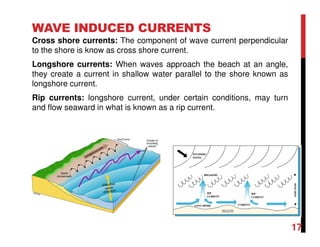 Chapter 4 Introduction to beach processes and management strategies | PDF