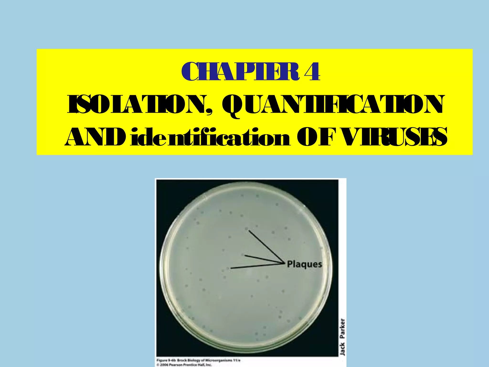 CH T R 4
            AP E
ISOL ION, QUANT ICAT
    AT              IF   ION
AND identification OF VIRUSES
 