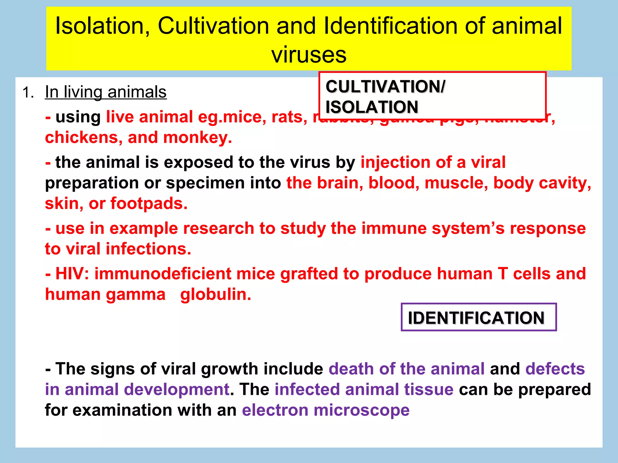 Isolation, Cultivation and Identification of animal
                          viruses
1. In living animals                    CULTIVATION/
                                        ISOLATION
   - using live animal eg.mice, rats, rabbits, guinea pigs, hamster,
   chickens, and monkey.
   - the animal is exposed to the virus by injection of a viral
   preparation or specimen into the brain, blood, muscle, body cavity,
   skin, or footpads.
   - use in example research to study the immune system’s response
   to viral infections.
   - HIV: immunodeficient mice grafted to produce human T cells and
   human gamma globulin.
                                                  IDENTIFICATION

   - The signs of viral growth include death of the animal and defects
   in animal development. The infected animal tissue can be prepared
   for examination with an electron microscope
 