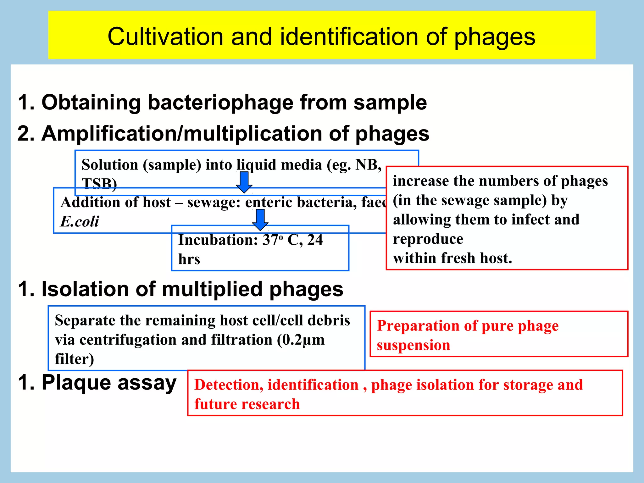Cultivation and identification of phages

1. Obtaining bacteriophage from sample
2. Amplification/multiplication of phages
       Solution (sample) into liquid media (eg. NB,
       TSB)                                           increase the numbers of phages
    Addition of host – sewage: enteric bacteria, faeces: the sewage sample) by
                                                      (in
    E.coli                                            allowing them to infect and
                     Incubation: 37o C, 24            reproduce
                     hrs                              within fresh host.

1. Isolation of multiplied phages
   Separate the remaining host cell/cell debris   Preparation of pure phage
   via centrifugation and filtration (0.2µm       suspension
   filter)
1. Plaque assay        Detection, identification , phage isolation for storage and
                       future research
 
