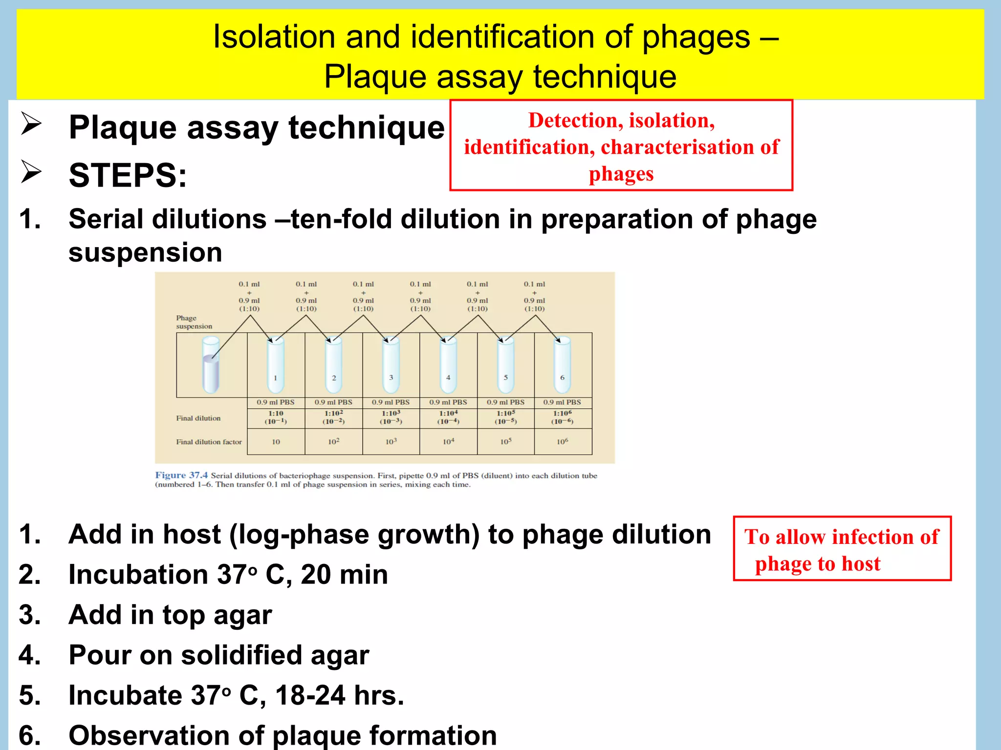 Isolation and identification of phages –
                       Plaque assay technique
 Plaque assay technique                 Detection, isolation,
                                  identification, characterisation of
 STEPS:                                        phages

1. Serial dilutions –ten-fold dilution in preparation of phage
   suspension




1.   Add in host (log-phase growth) to phage dilution            To allow infection of
                                                                  phage to host
2.   Incubation 37o C, 20 min
3.   Add in top agar
4.   Pour on solidified agar
5.   Incubate 37o C, 18-24 hrs.
6.   Observation of plaque formation
 