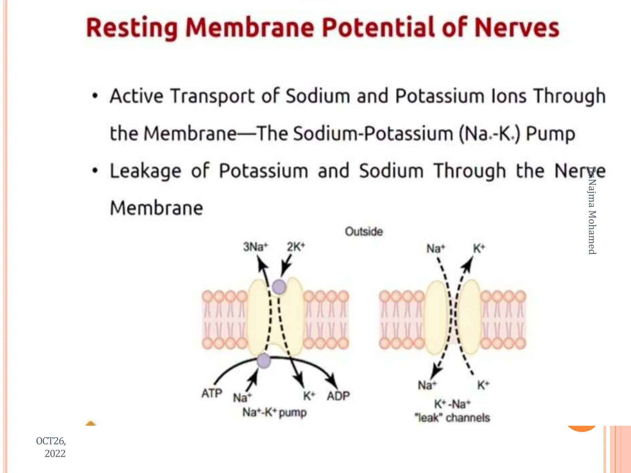 OCT26,
2022
Dr.Najma
Mohamed
 