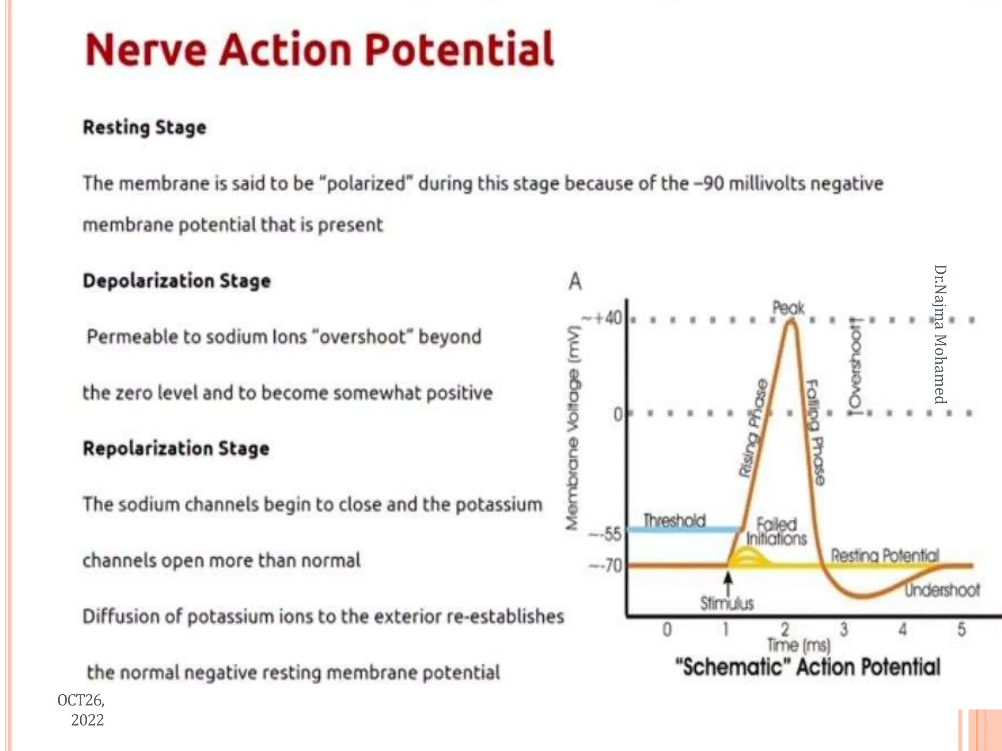 OCT26,
2022
Dr.Najma
Mohamed
 