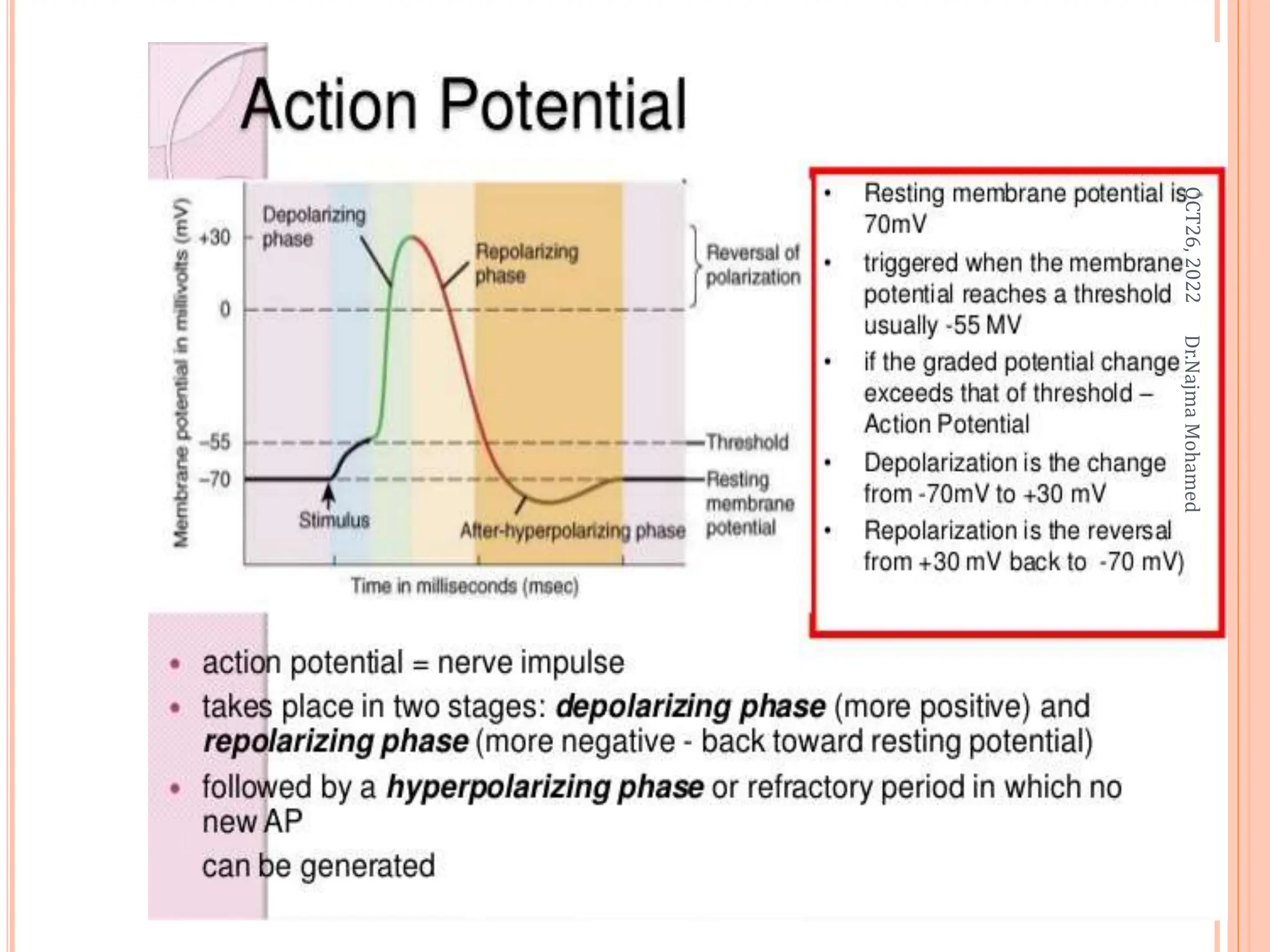 OCT26,
2022
Dr.Najma
Mohamed
 