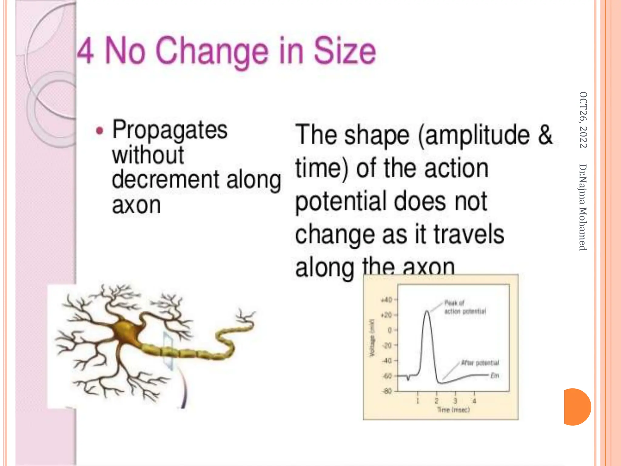 OCT26,
2022
Dr.Najma
Mohamed
 