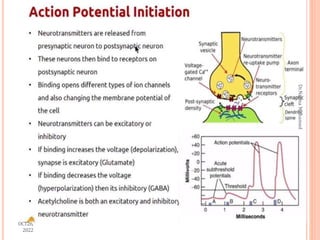 OCT26,
2022
Dr.Najma
Mohamed
 