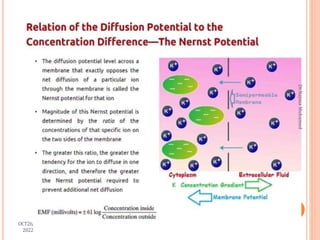 OCT26,
2022
Dr.Najma
Mohamed
 