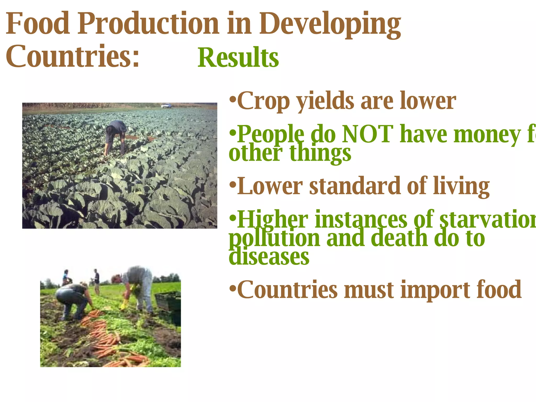 Food Production in Developing Countries: Results Crop yields are lower People do NOT have money for other things Lower standard of living Higher instances of starvation, pollution and death do to diseases Countries must import food  