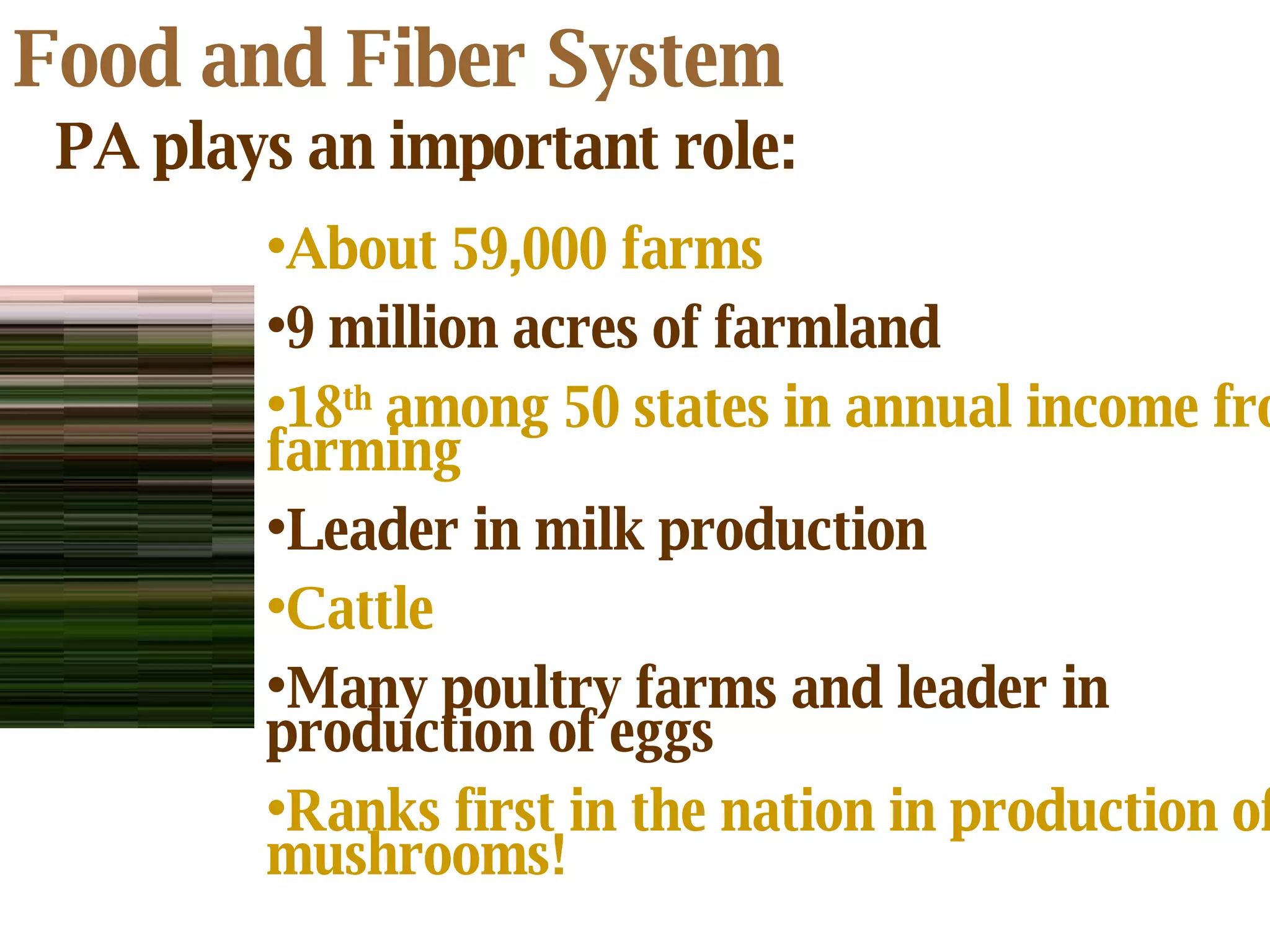 Food and Fiber System PA plays an important role: About 59,000 farms 9 million acres of farmland 18 th  among 50 states in annual income from farming Leader in milk production Cattle   Many poultry farms and leader in production of eggs Ranks first in the nation in production of mushrooms! 