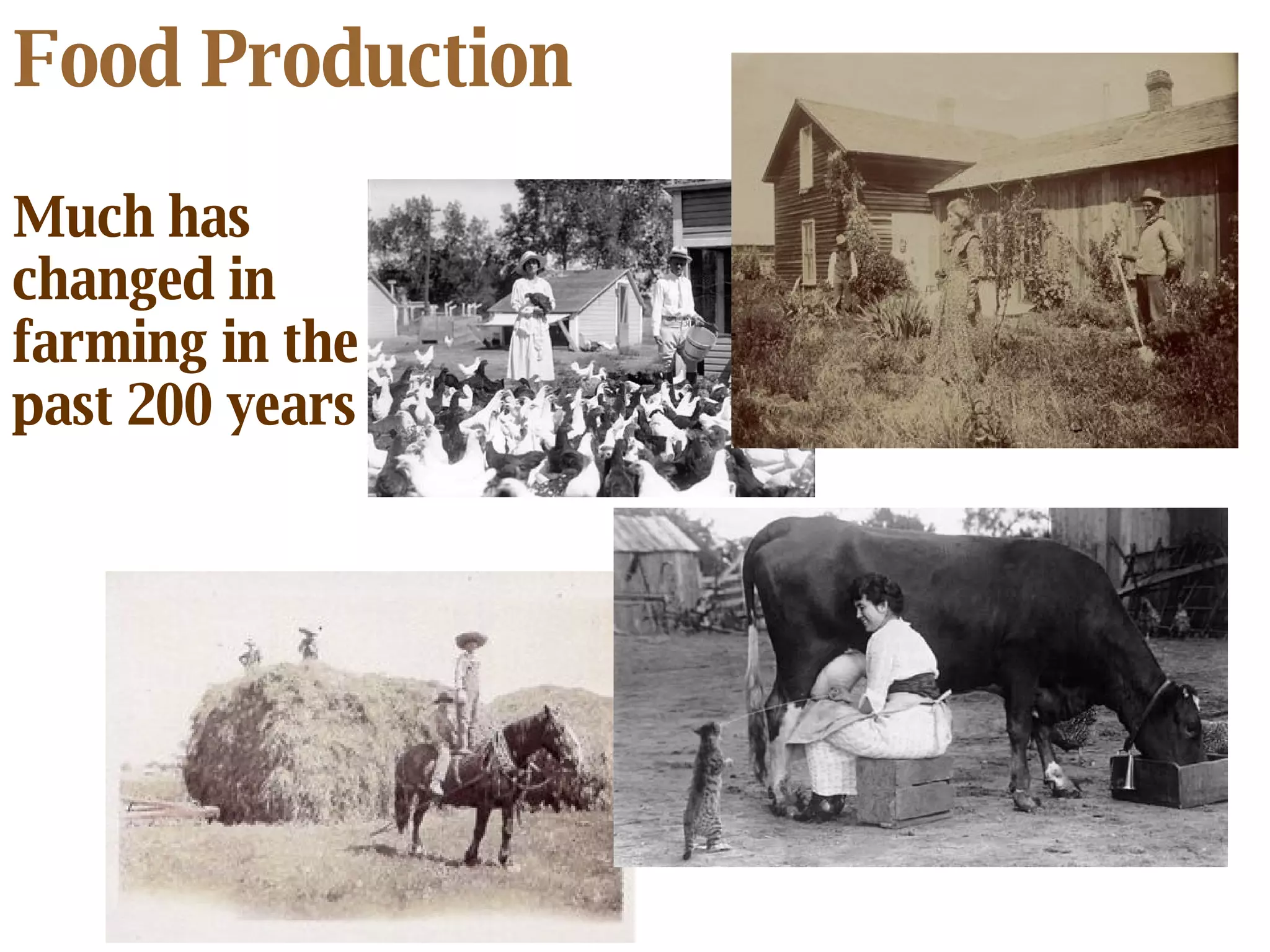 Food Production Much has changed in farming in the past 200 years 