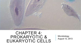 CHAPTER 4:
PROKARYOTIC &
EUKARYOTIC CELLS
Microbiology
August 12, 2013
 