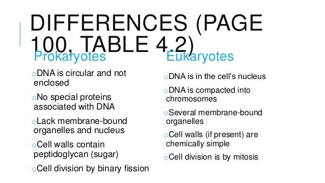 Similarities between eukaryotic and prokaryotic cells