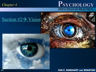 HOLT, RINEHART AND WINSTON
PPSYCHOLOGYSYCHOLOGY
PRINCIPLES IN PRACTICE
Section #2 Vision
24
Chapter 4Chapter 4
 