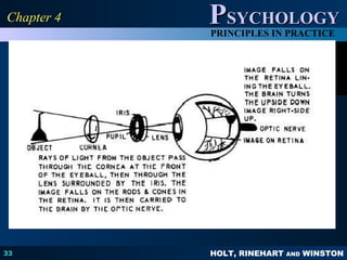 HOLT, RINEHART AND WINSTON
PPSYCHOLOGYSYCHOLOGY
PRINCIPLES IN PRACTICE
33
Chapter 4Chapter 4
 